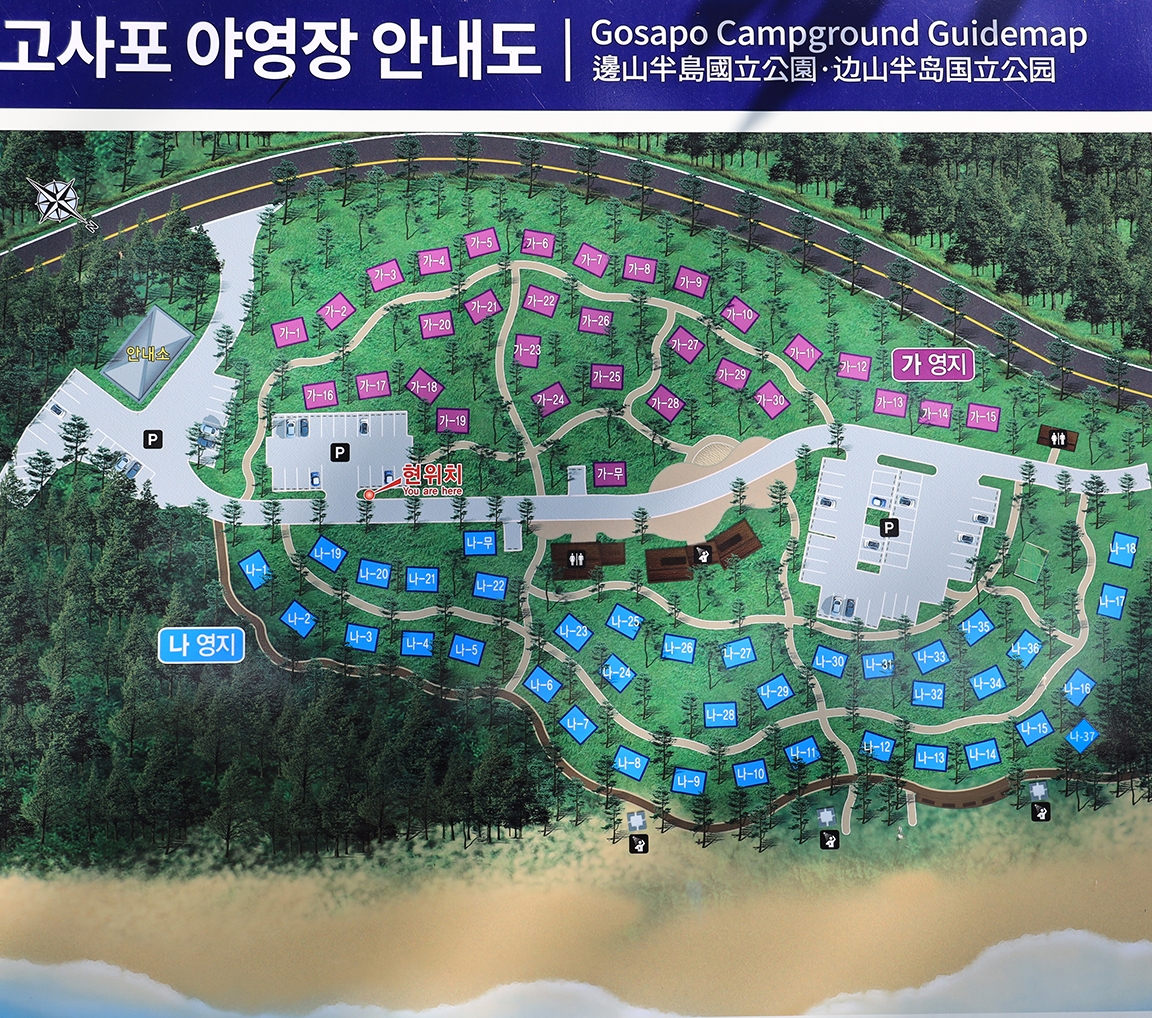 고사포야영장