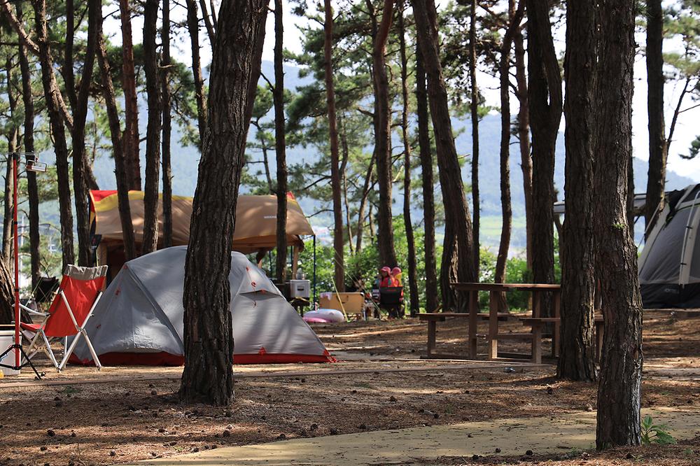 변산반도국립공원 고사포 야영장