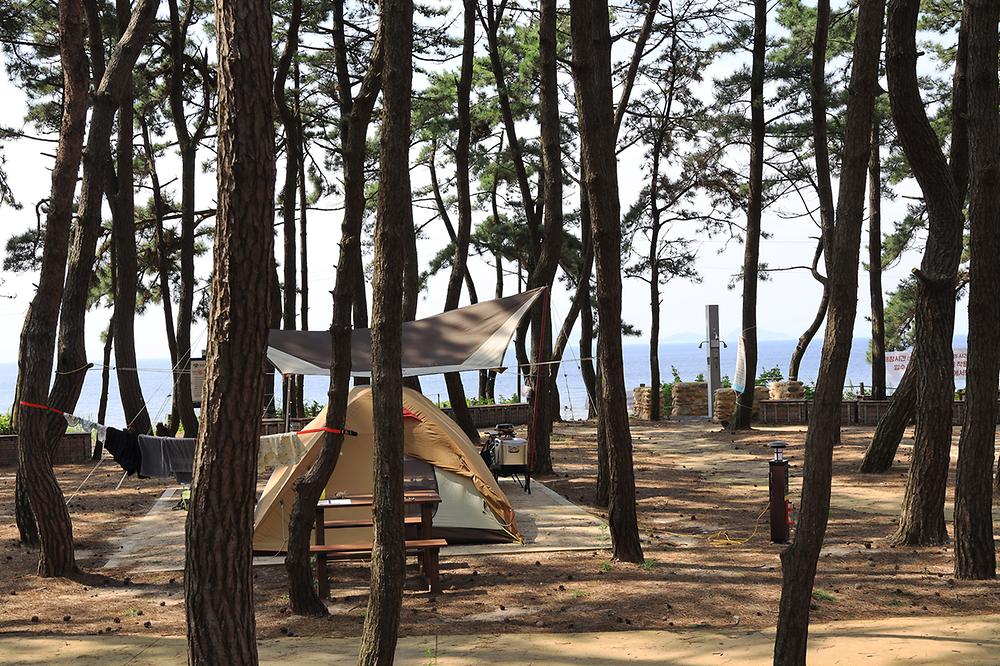 변산반도국립공원 고사포 야영장