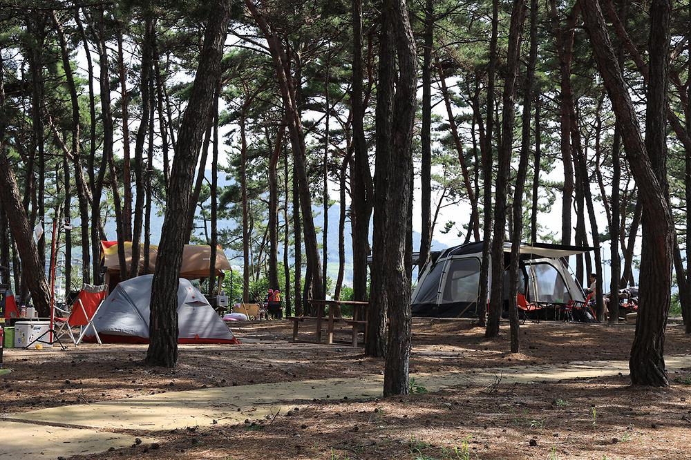 변산반도국립공원 고사포 야영장