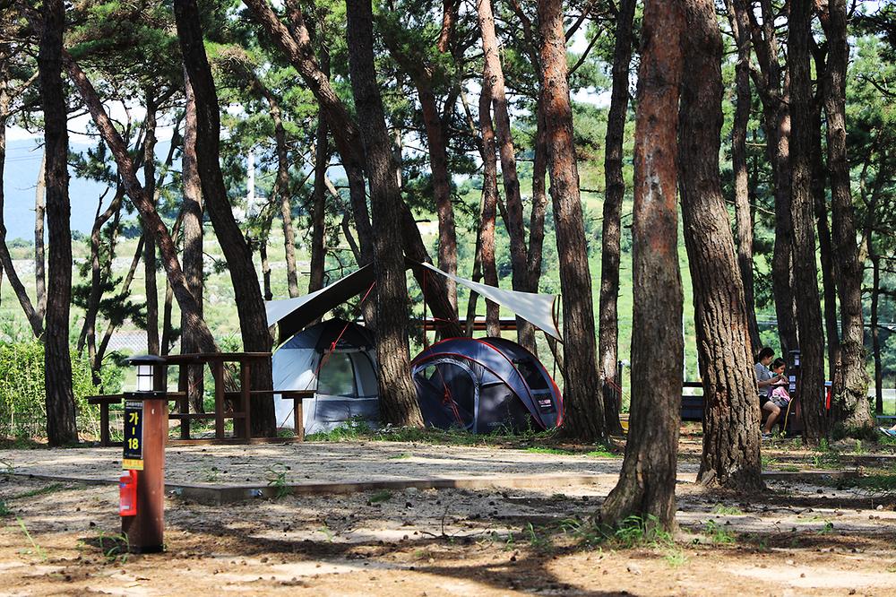 변산반도국립공원 고사포 야영장