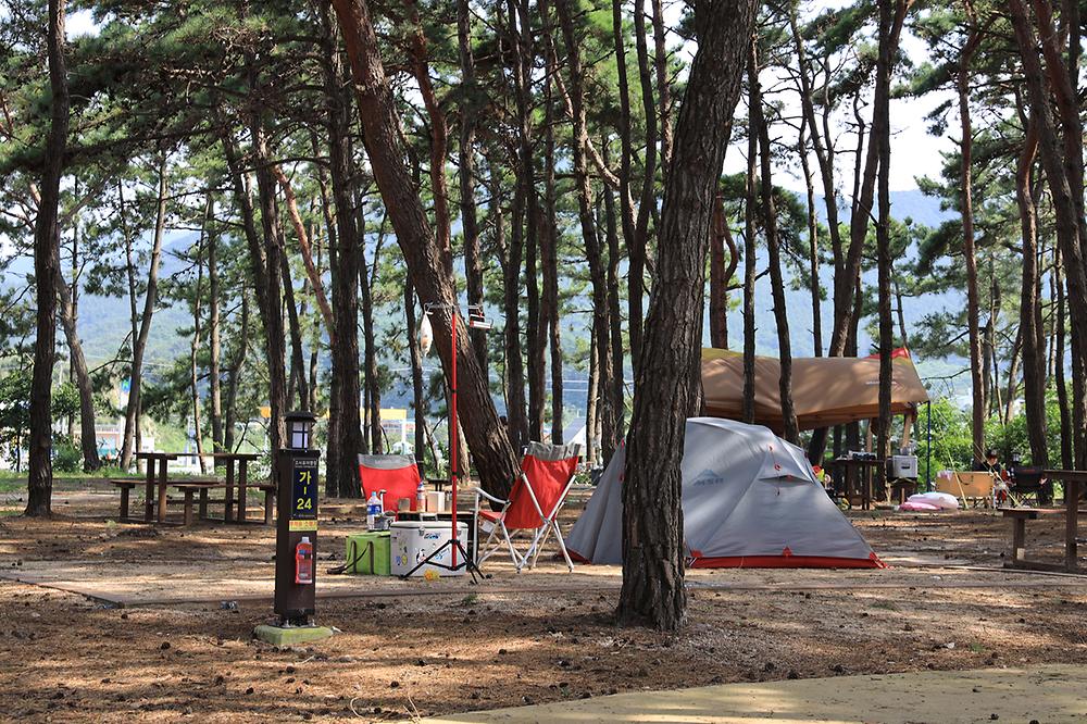 변산반도국립공원 고사포 야영장