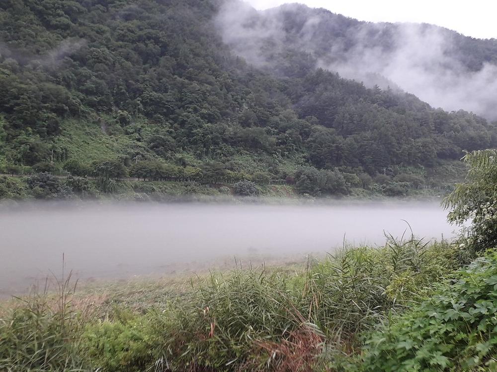 단양 무지개 오토캠핑장