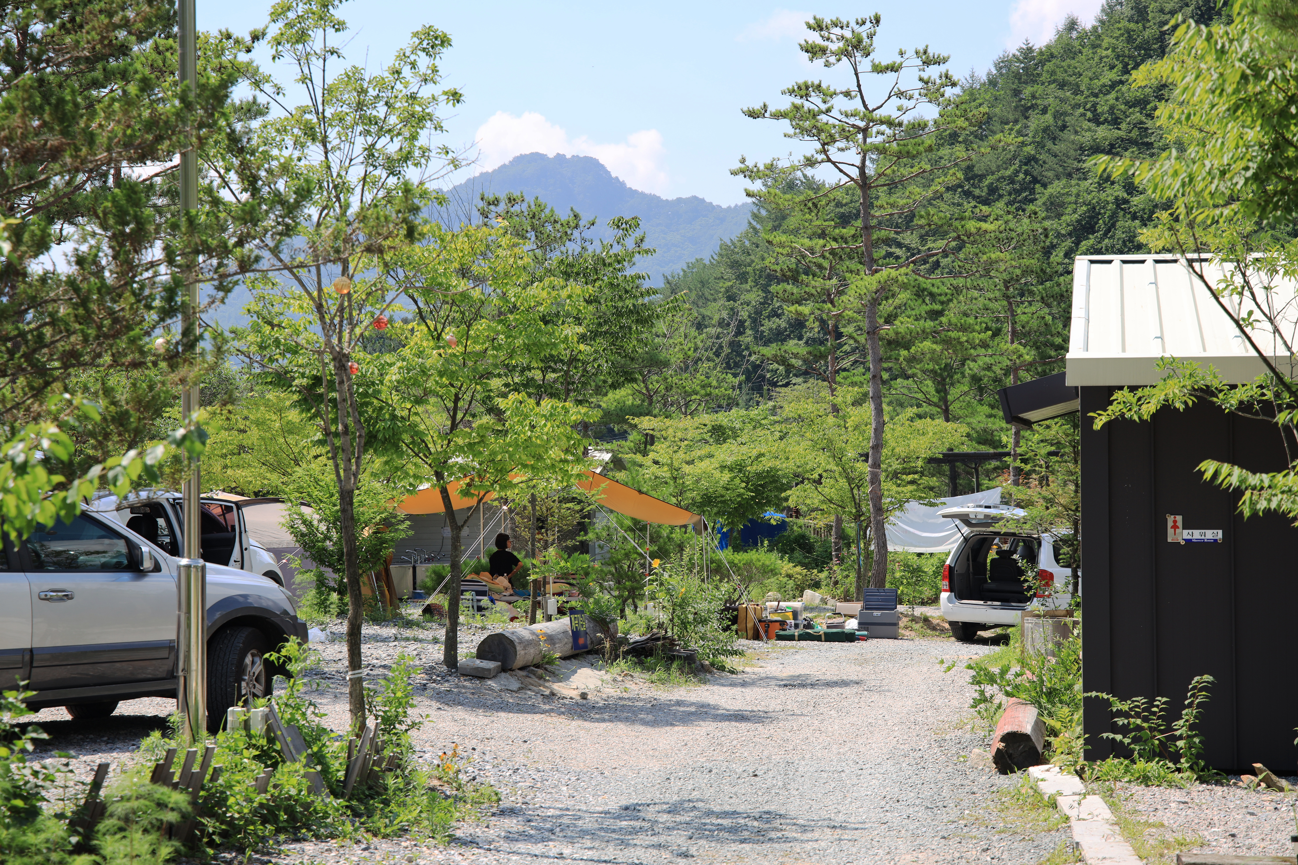 보물섬