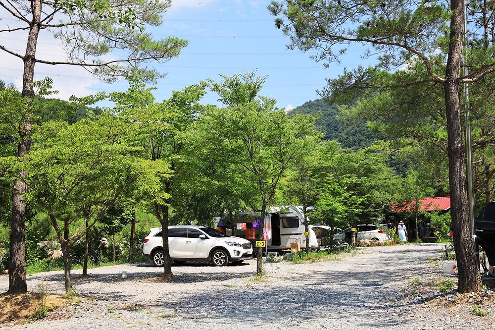 평창 보물섬캠핑장
