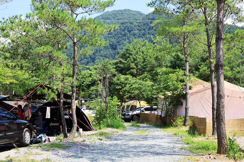 평창 보물섬캠핑장