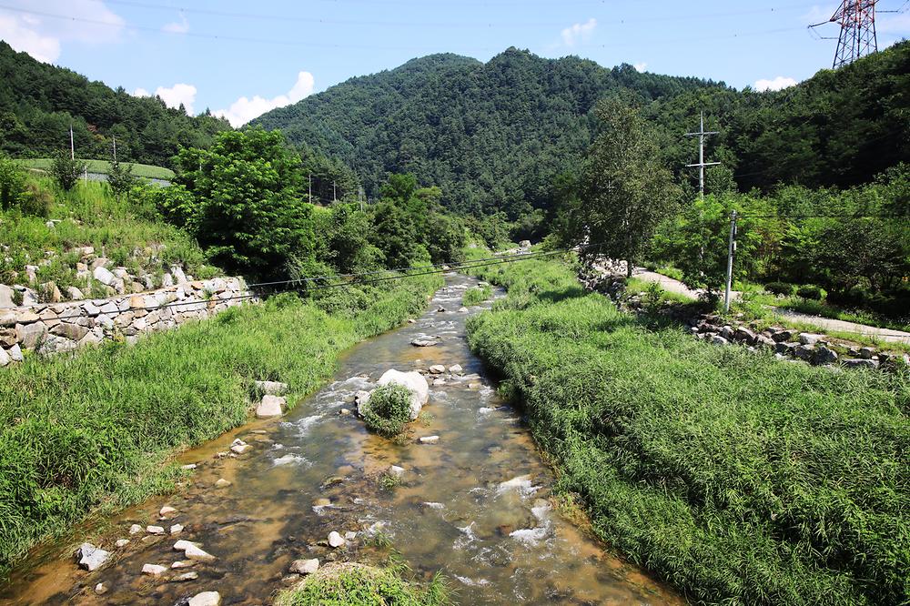 평창 보물섬캠핑장