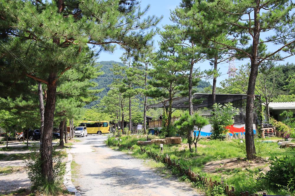 평창 보물섬캠핑장