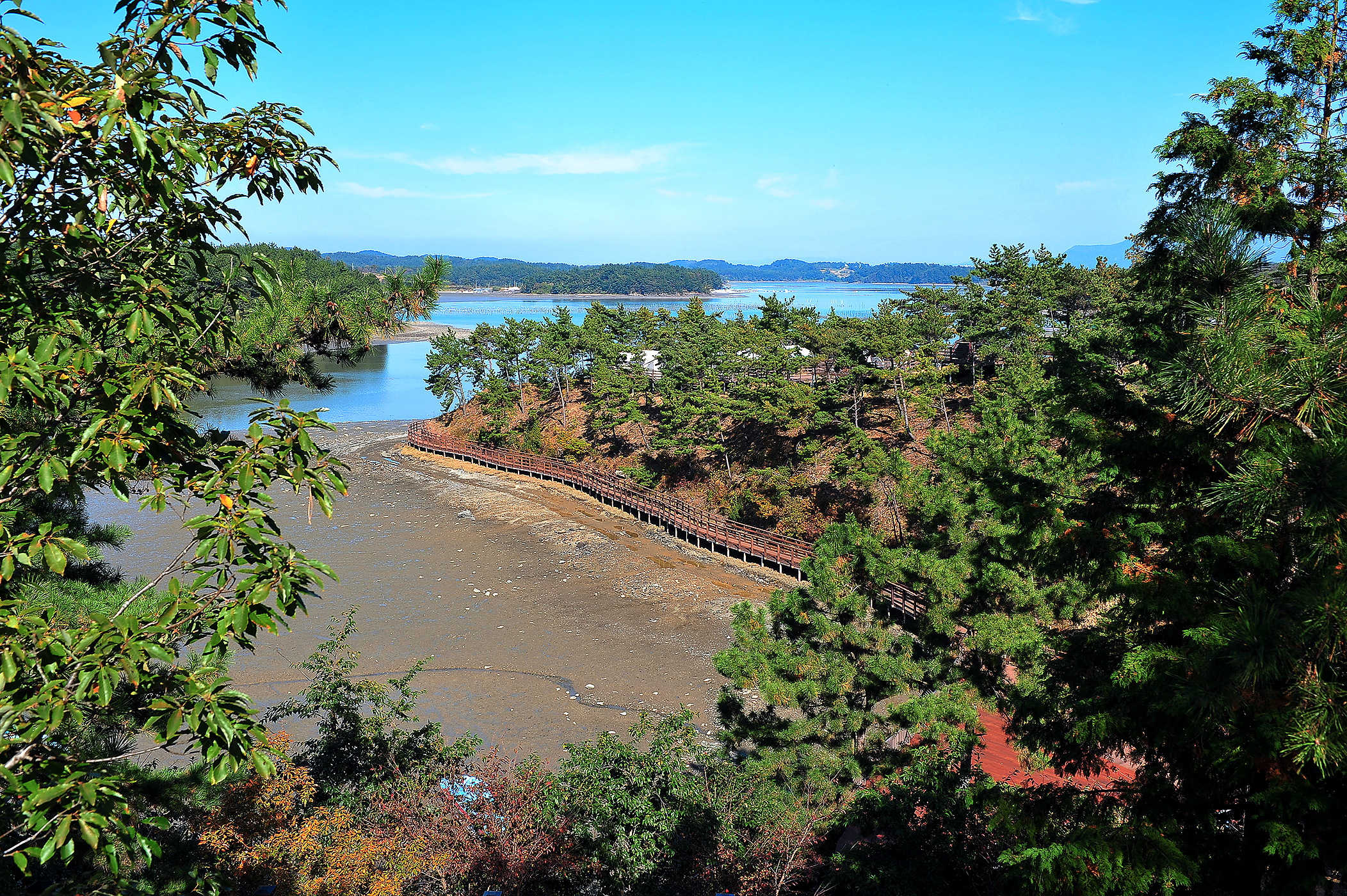 비토 국민여가캠핑장