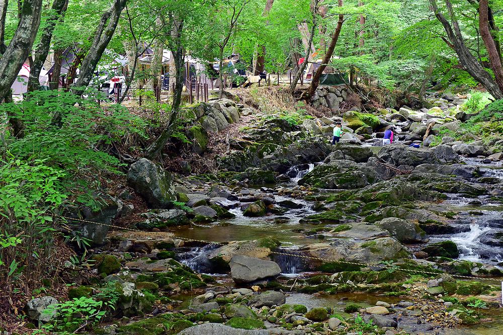 삼정야영장
