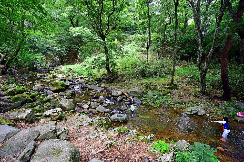 삼정야영장