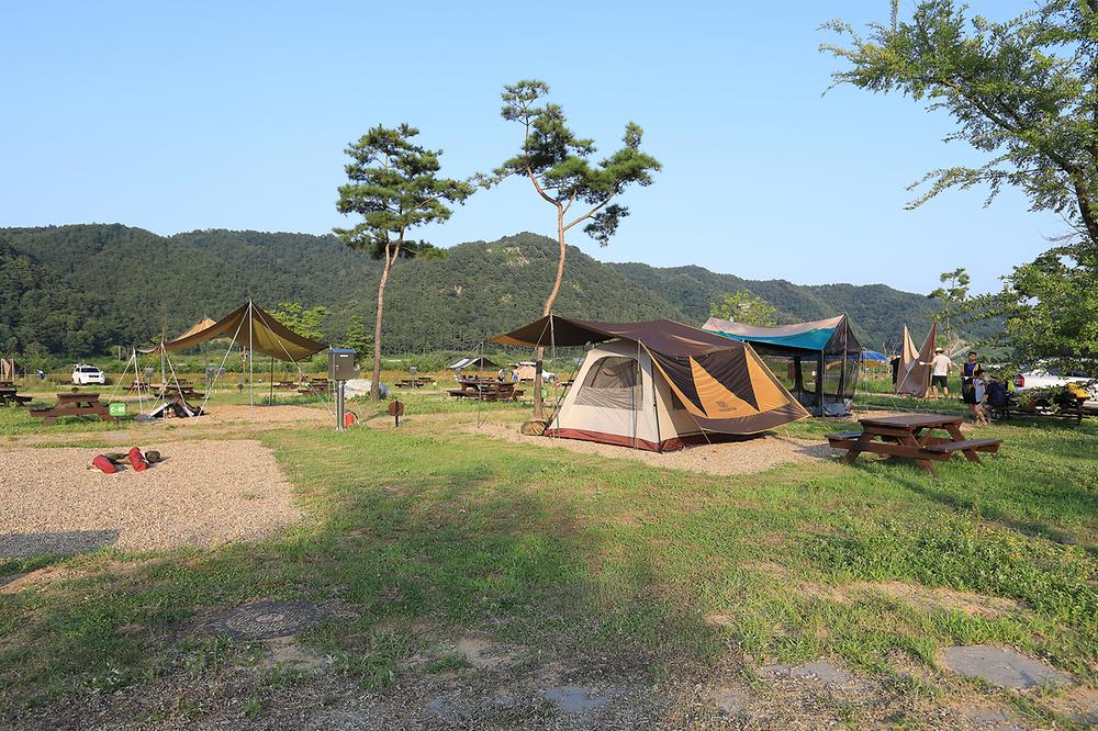 상주보 오토캠핑장