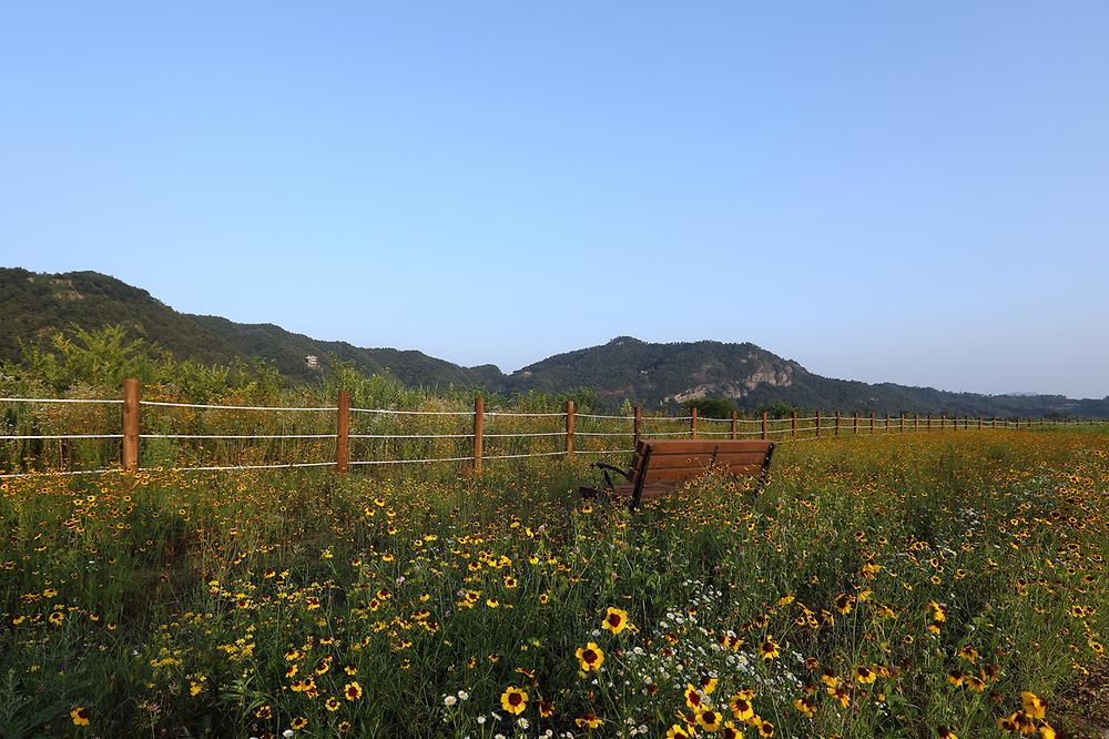 상주보 오토캠핑장