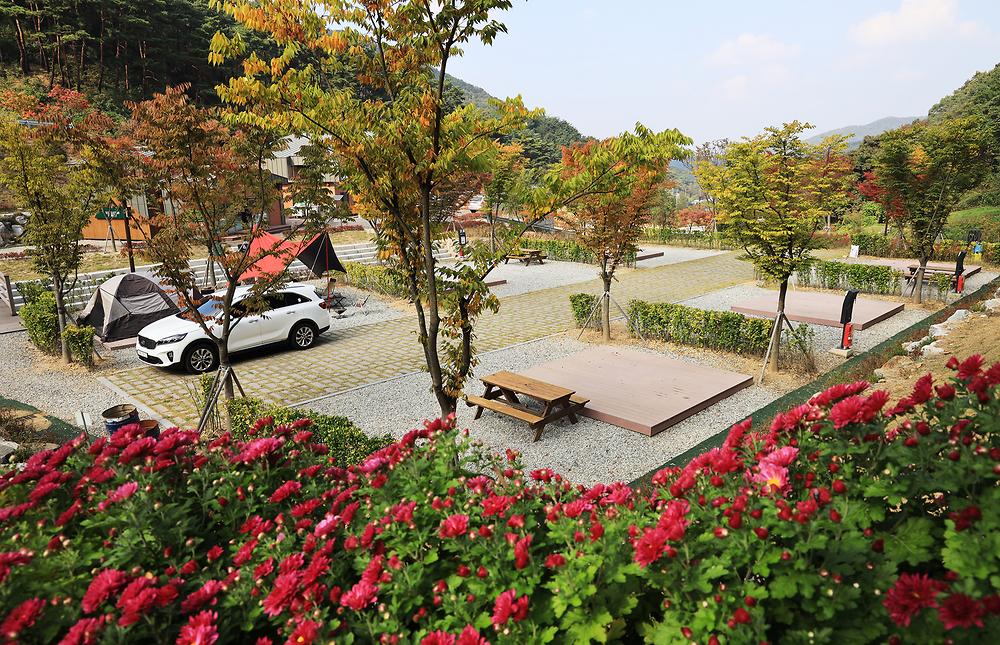 서운산 자연휴양림 자동차야영장