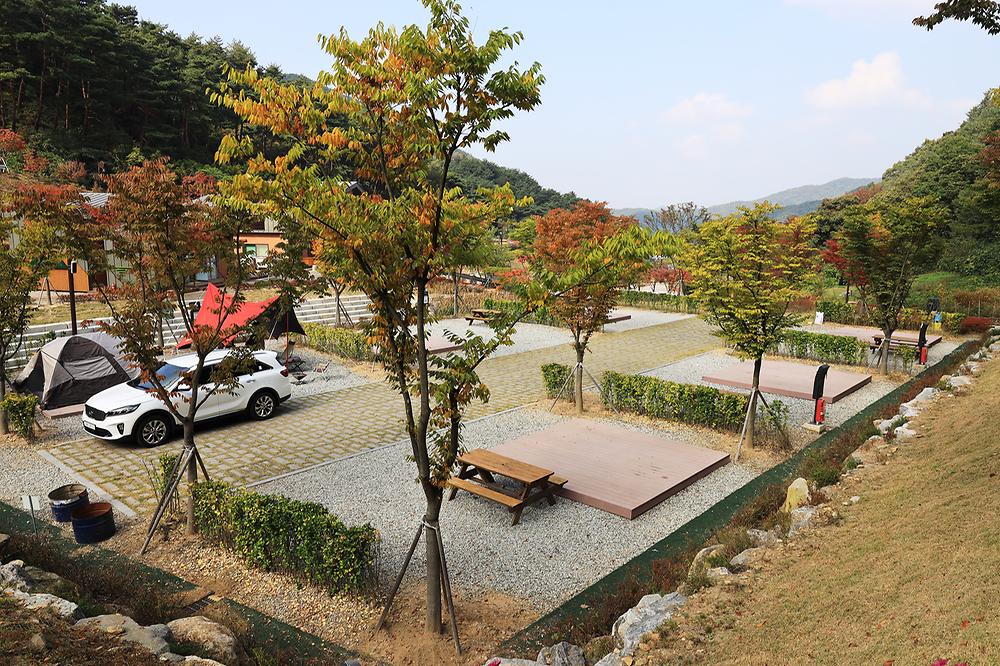서운산 자연휴양림 자동차야영장
