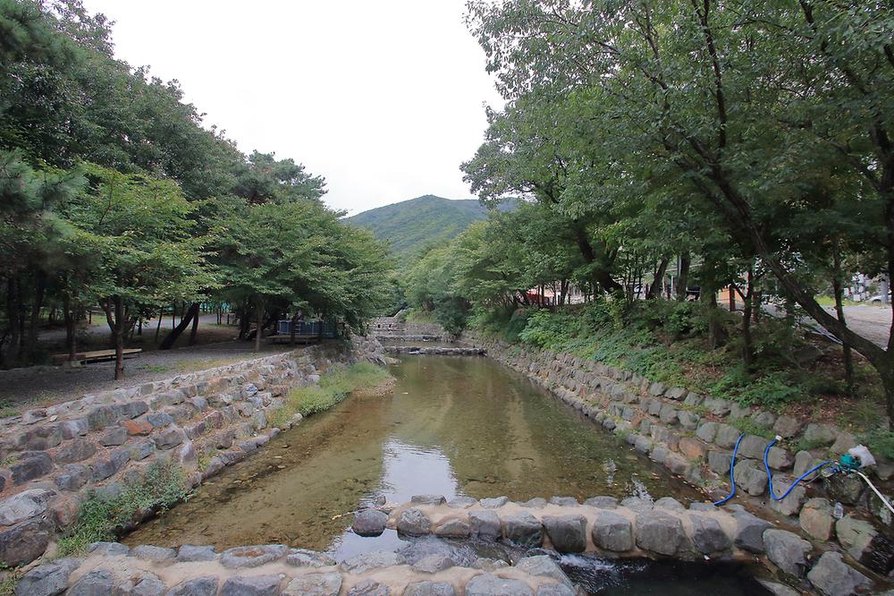 수리덤 캠핑장