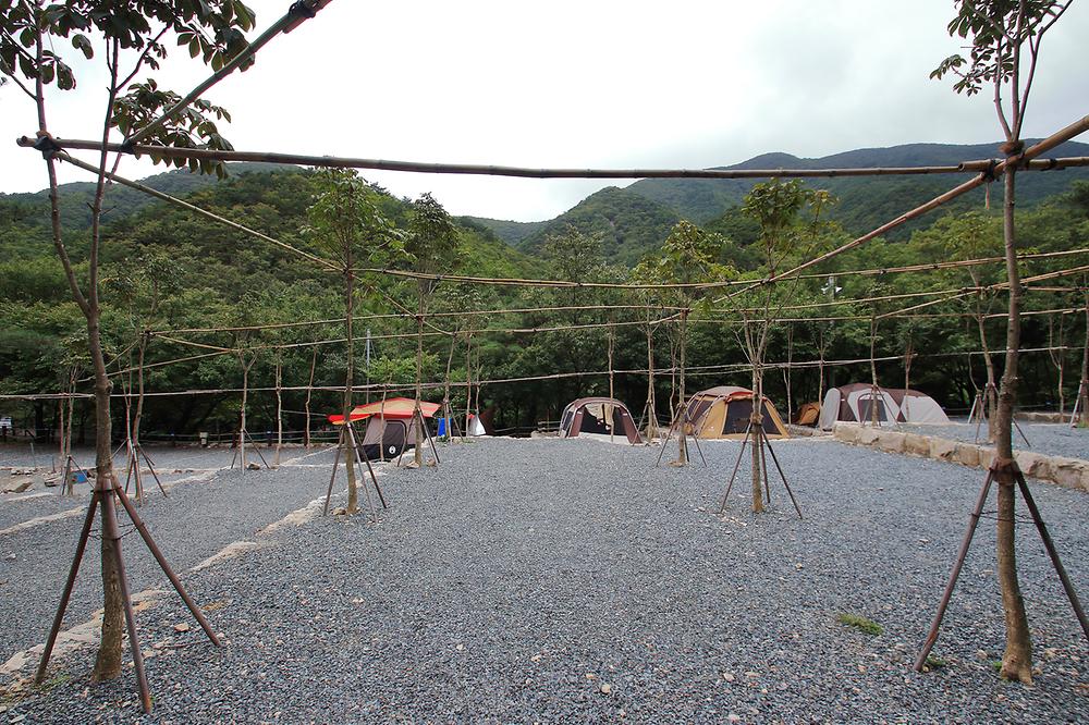 수리덤 캠핑장