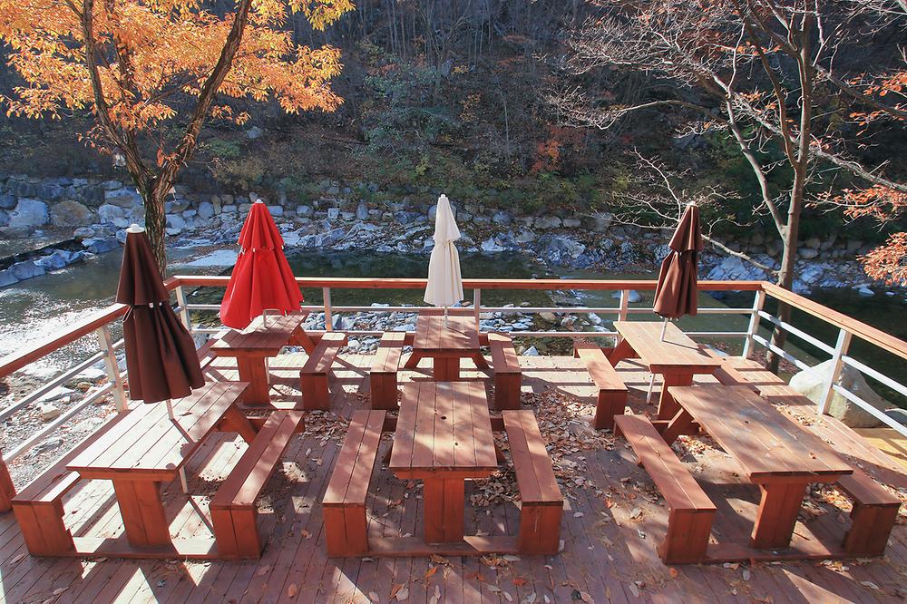참나무숲 오토캠핑장