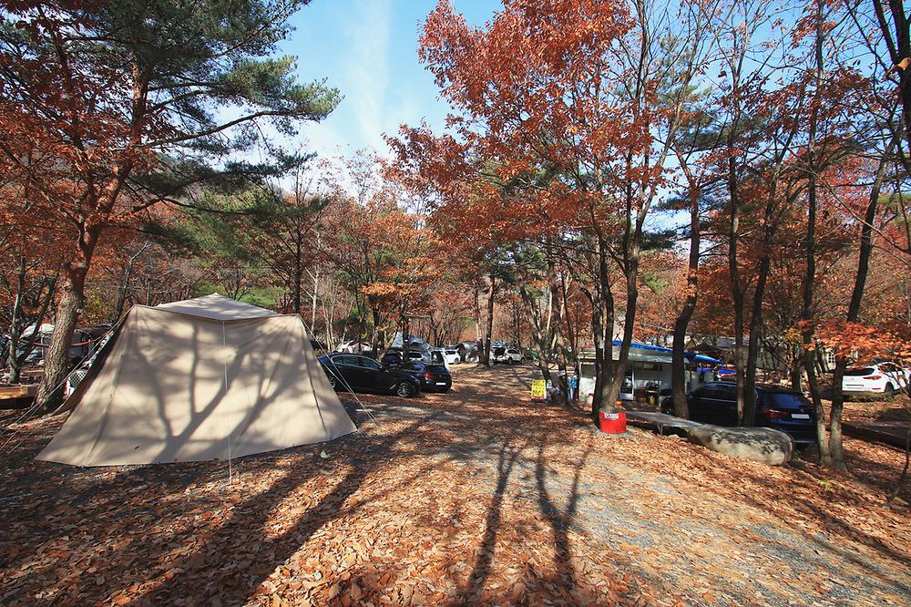 참나무숲 오토캠핑장