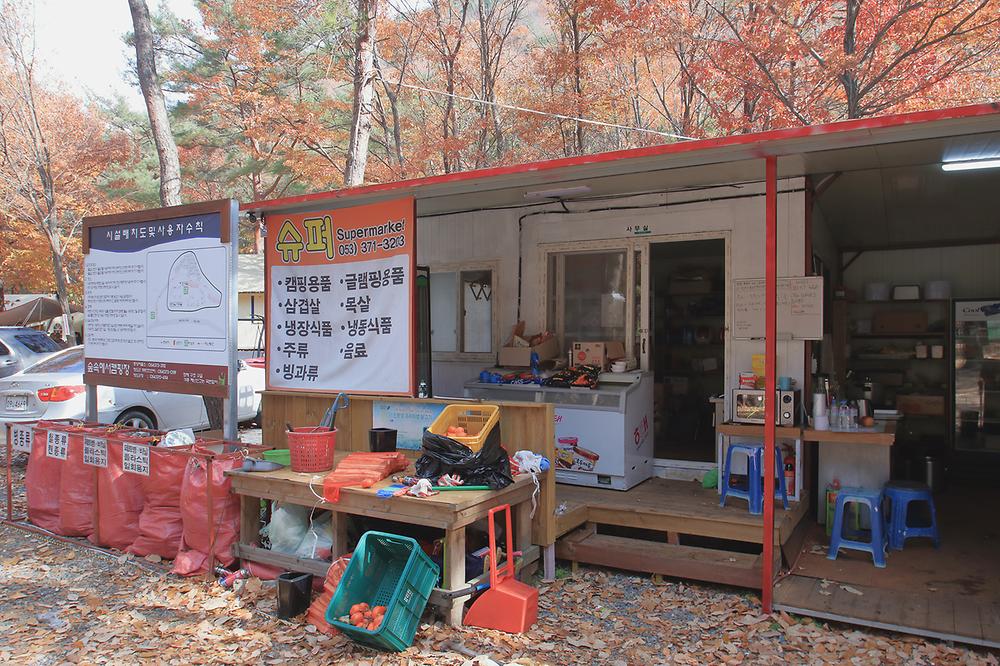 참나무숲 오토캠핑장