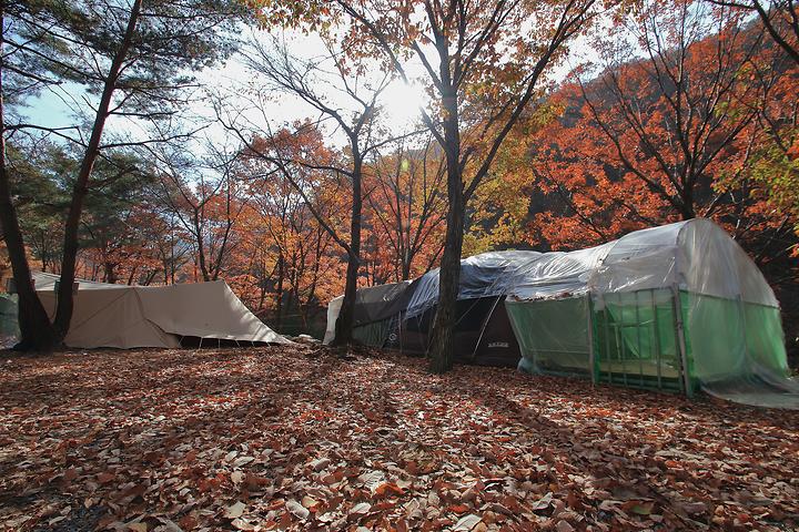 한국관광공사 고캠핑 고캠핑