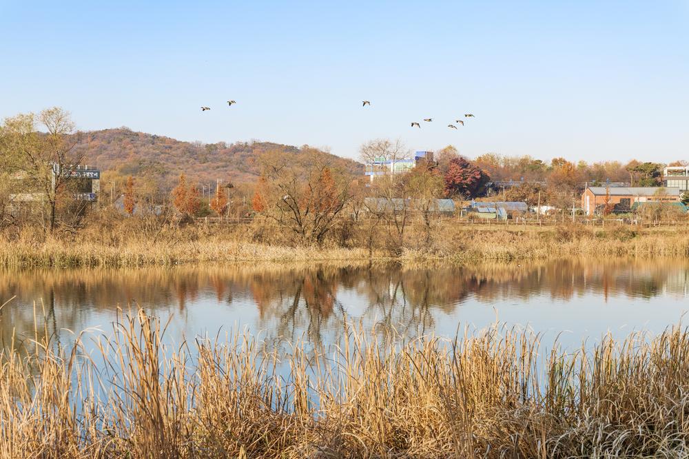 왕송호수 캠핑장