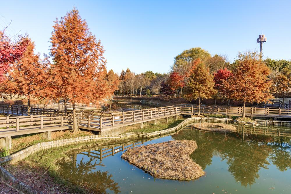 왕송호수 캠핑장