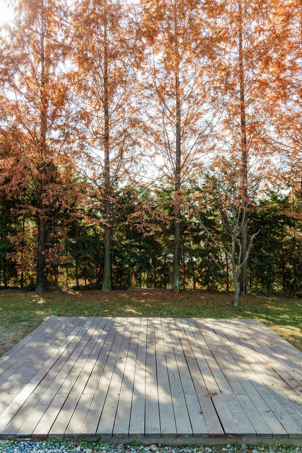 왕송호수 캠핑장