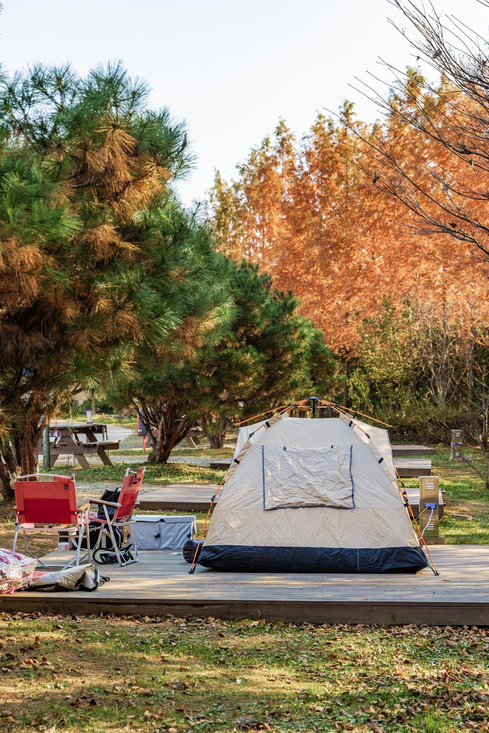 왕송호수 캠핑장