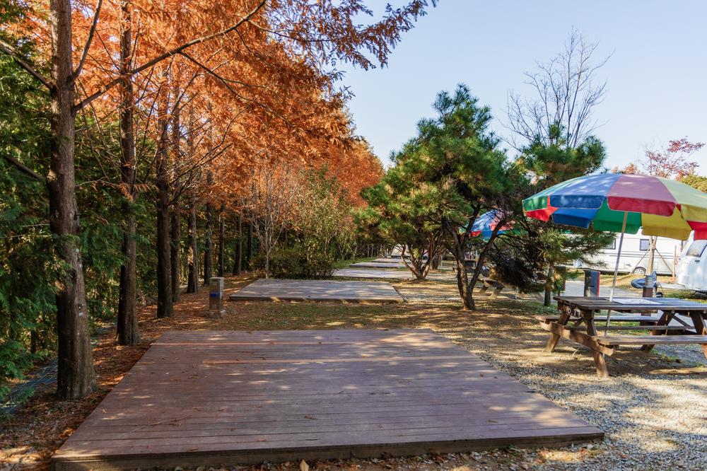 왕송호수 캠핑장