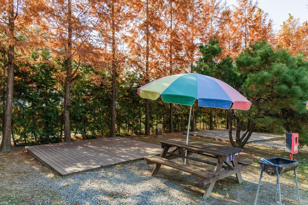 왕송호수 캠핑장