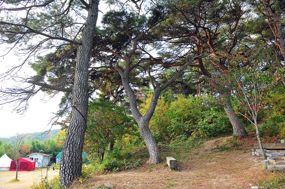 달곡캠프