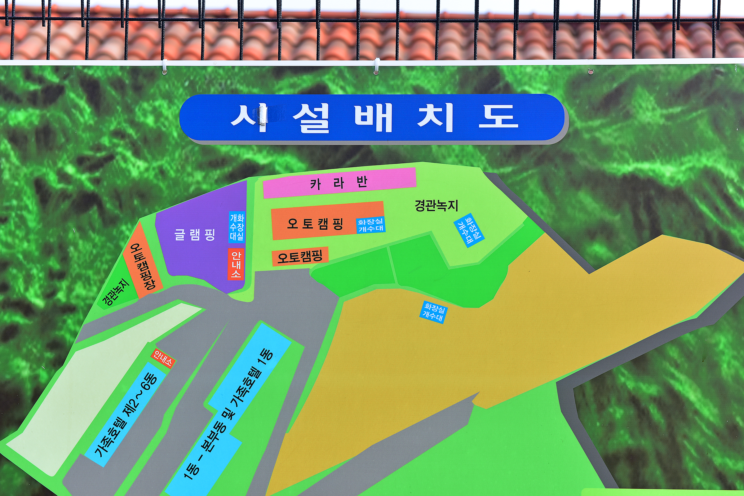 (주)밀모빨강치마