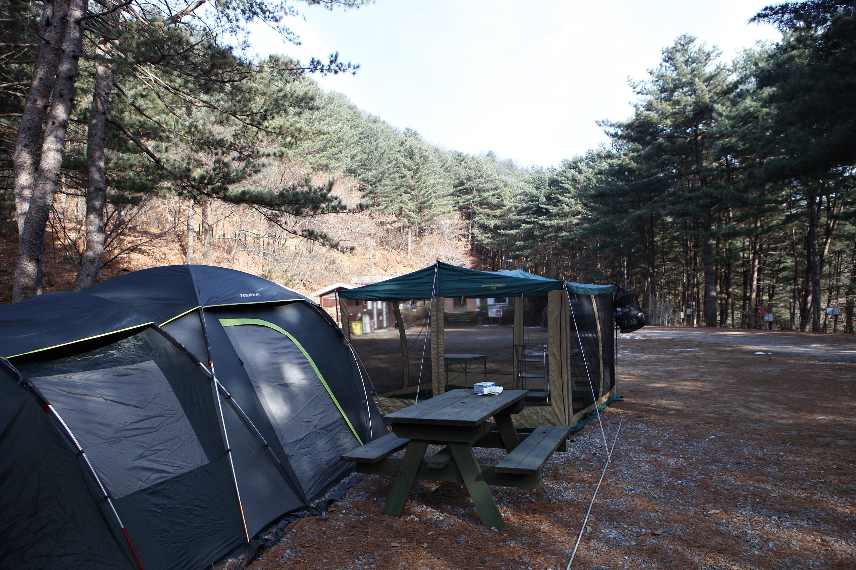 (주)수동자연마을 힐링별밤수목원캠핑장