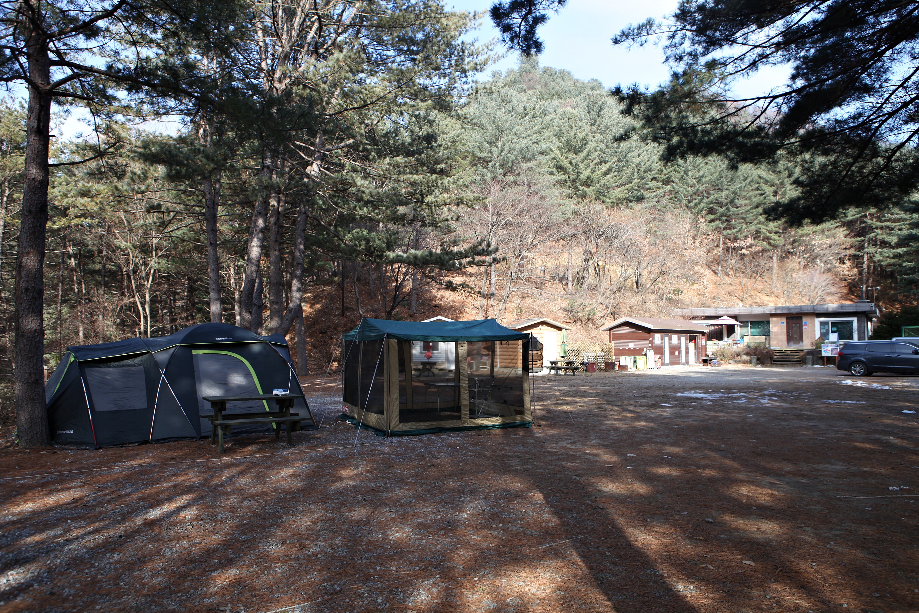 (주)수동자연마을 힐링별밤수목원캠핑장