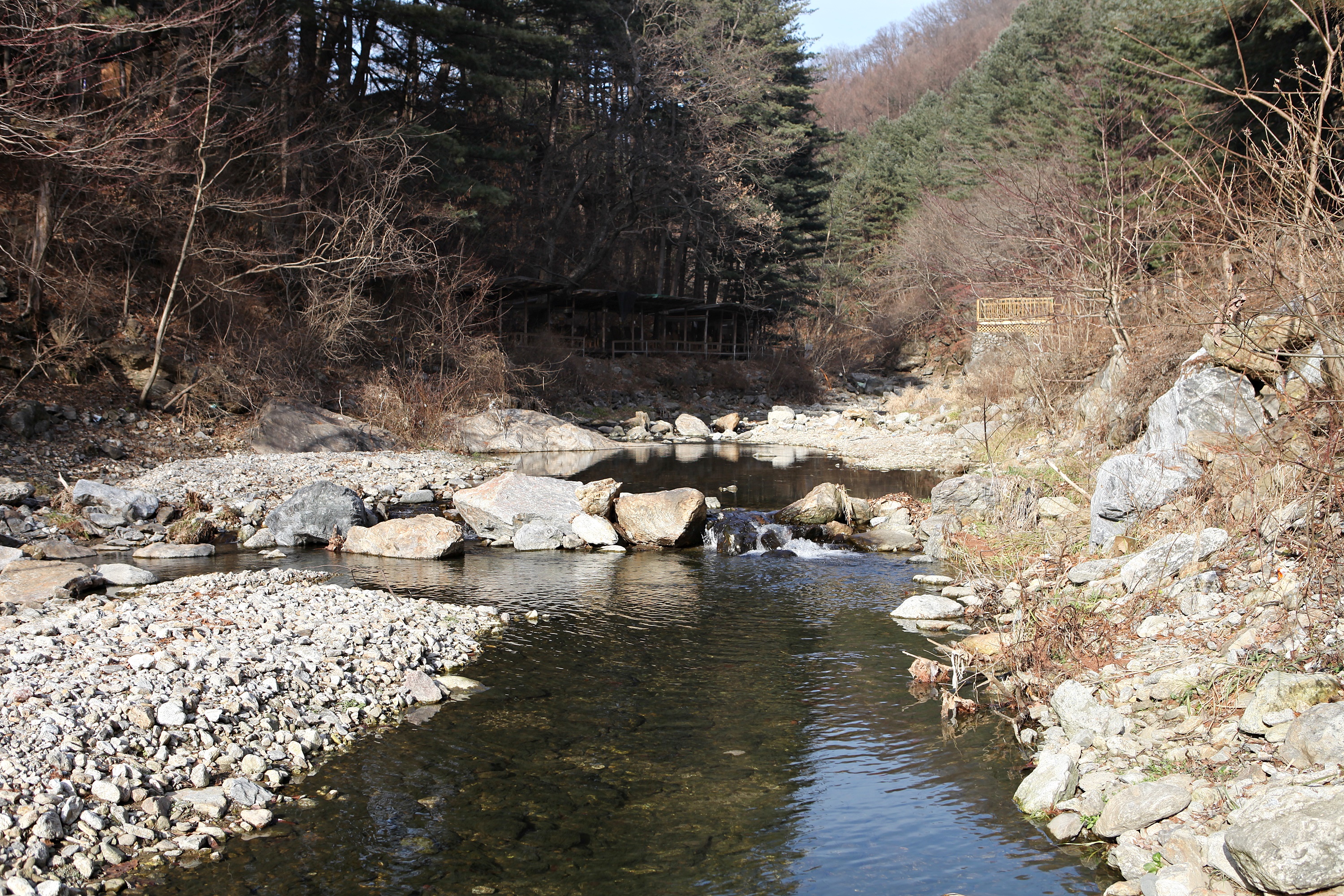 (주)수동자연마을 힐링별밤수목원캠핑장