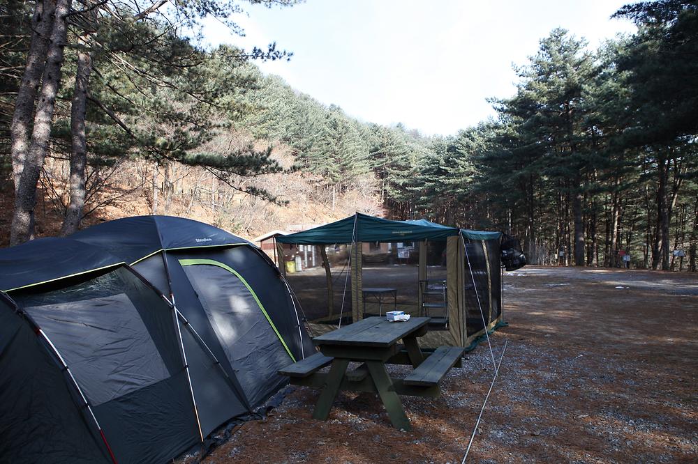 (주)수동자연마을 힐링별밤수목원캠핑장