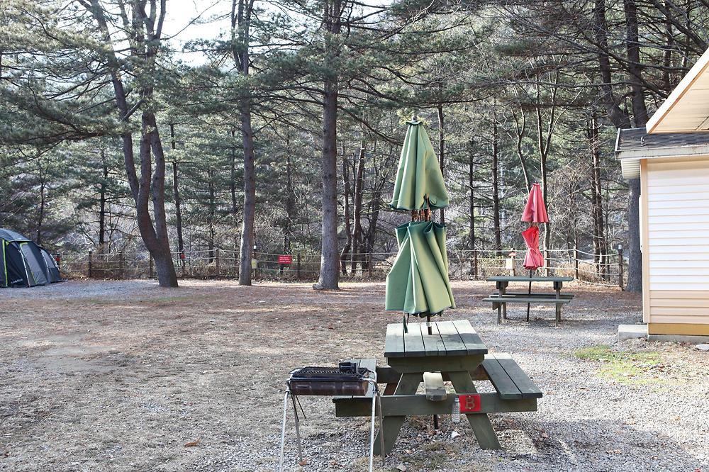(주)수동자연마을 힐링별밤수목원캠핑장