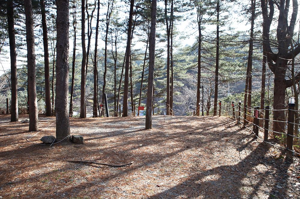 (주)수동자연마을 힐링별밤수목원캠핑장