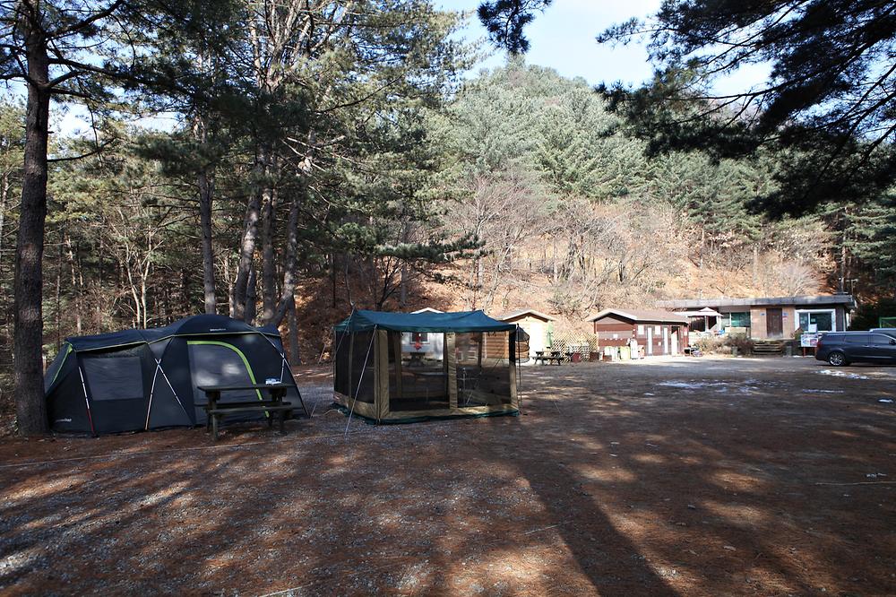 (주)수동자연마을 힐링별밤수목원캠핑장