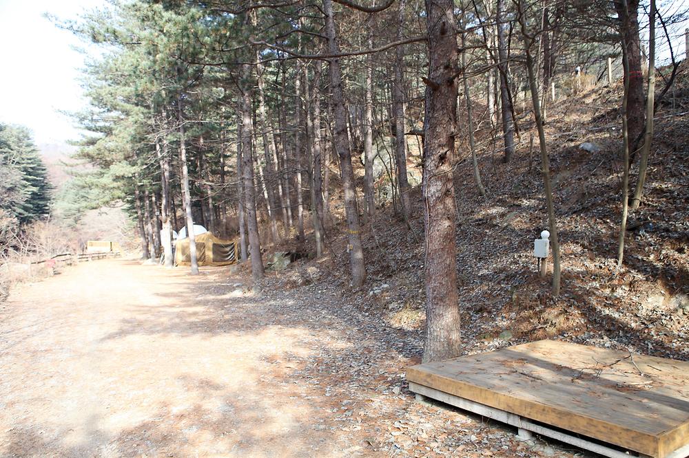 (주)수동자연마을 힐링별밤수목원캠핑장