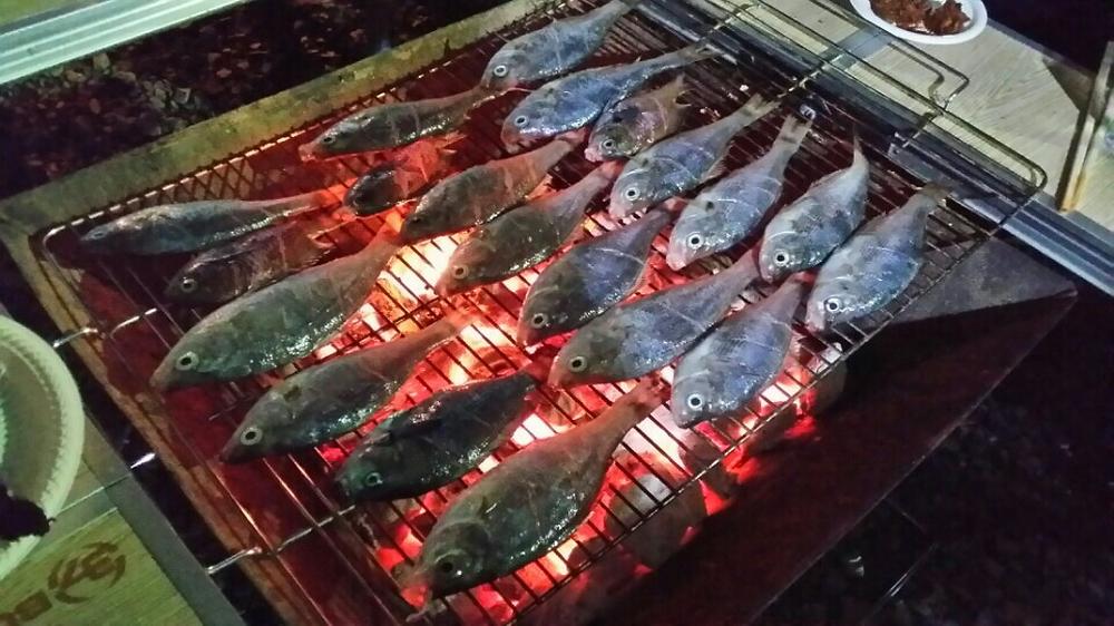 청보리오토캠핑장