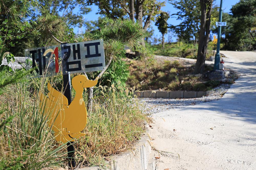 검디 관광농원 야영장