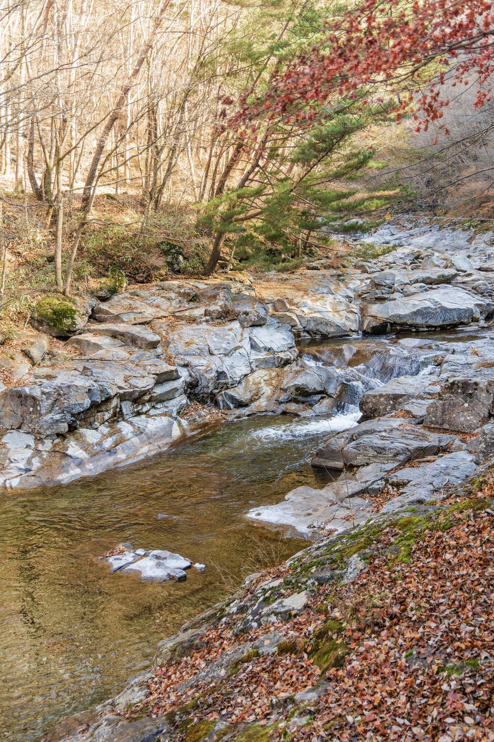달궁자동차야영장