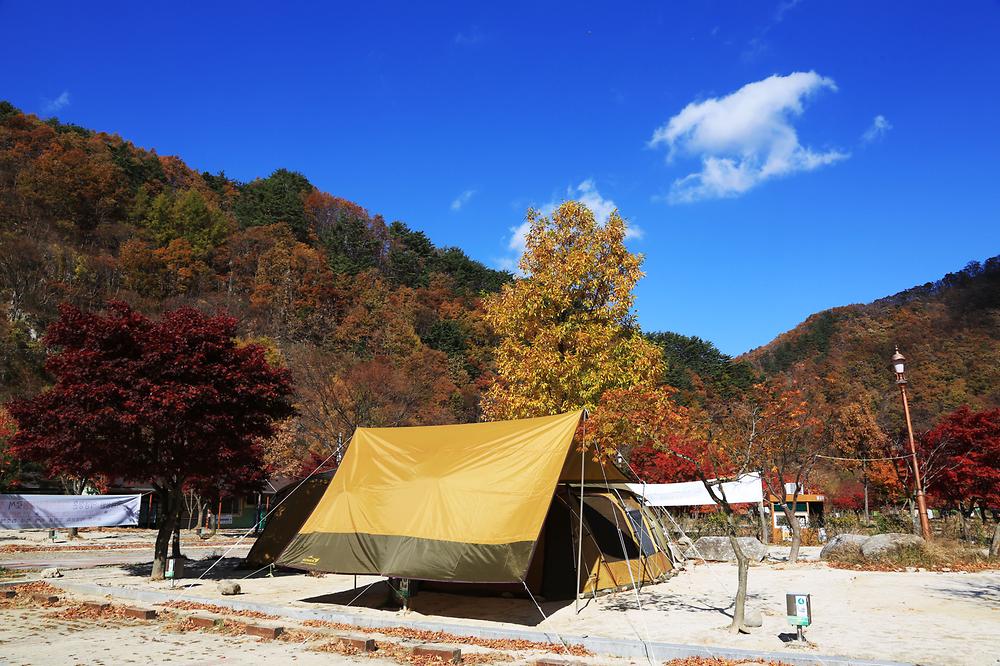 달궁자동차 야영장