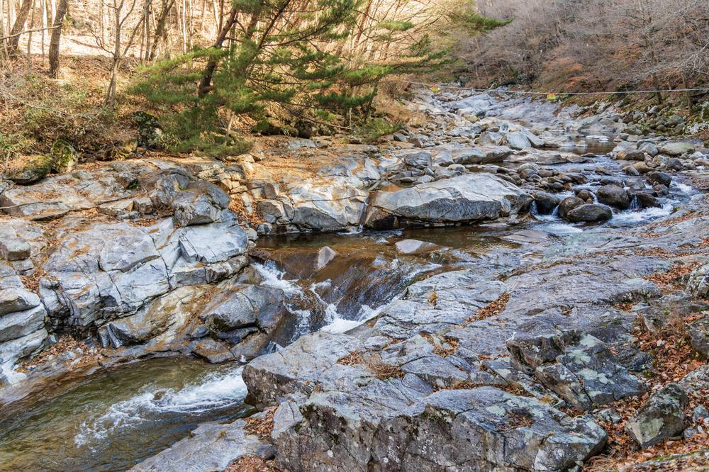 달궁자동차야영장