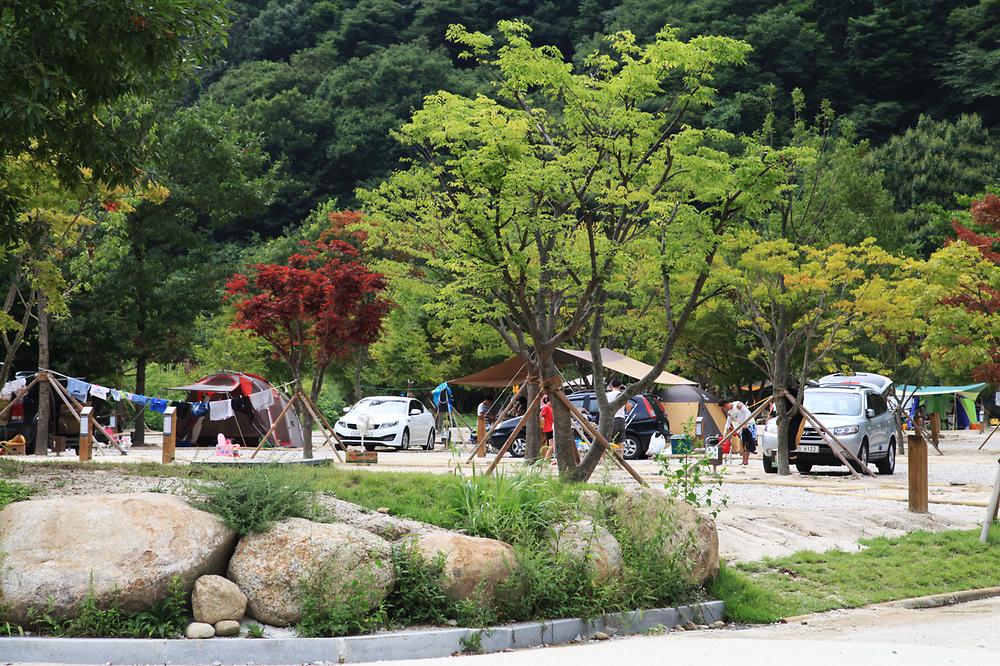 달궁자동차 야영장