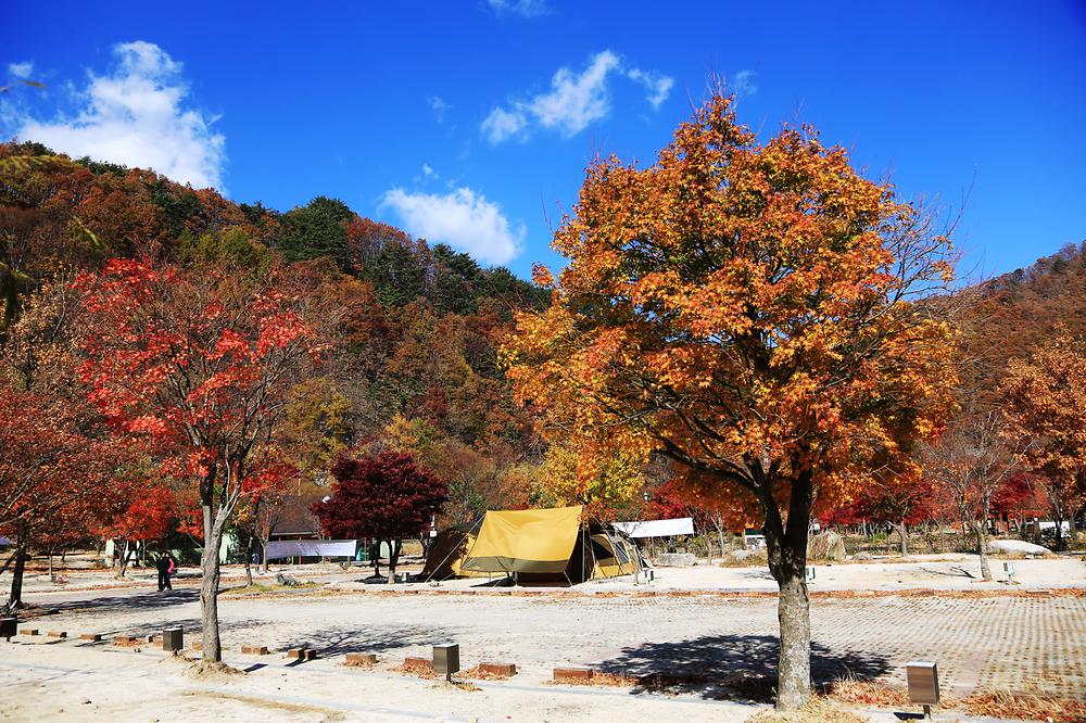 달궁자동차 야영장