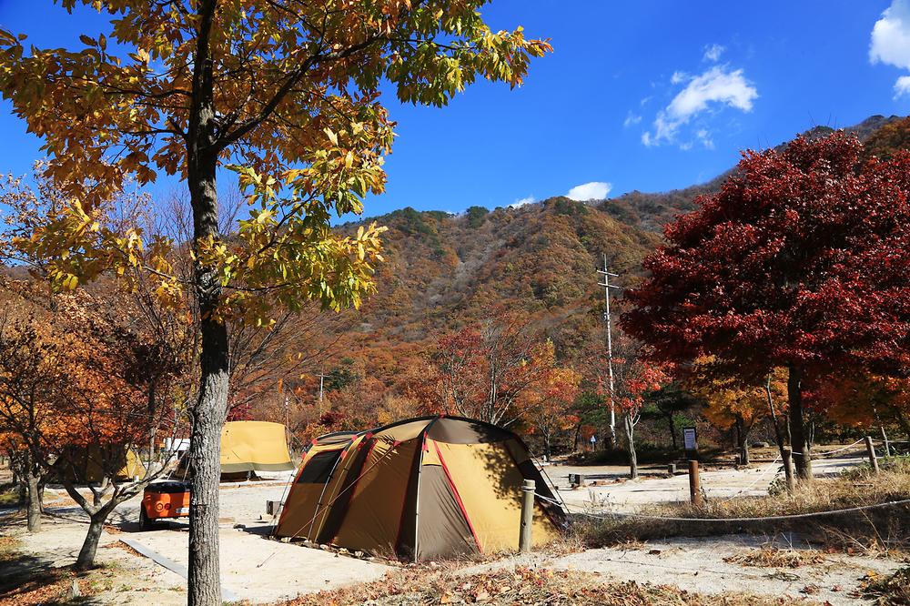 달궁자동차 야영장