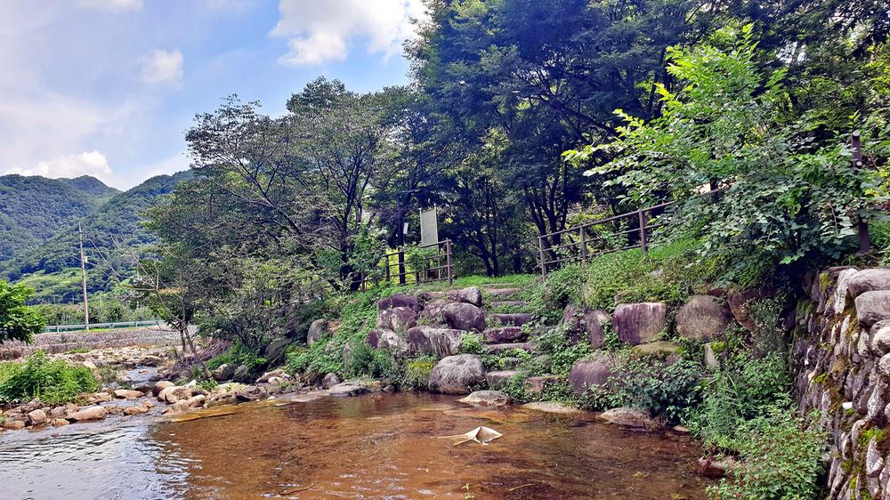 단양 남천 야영장